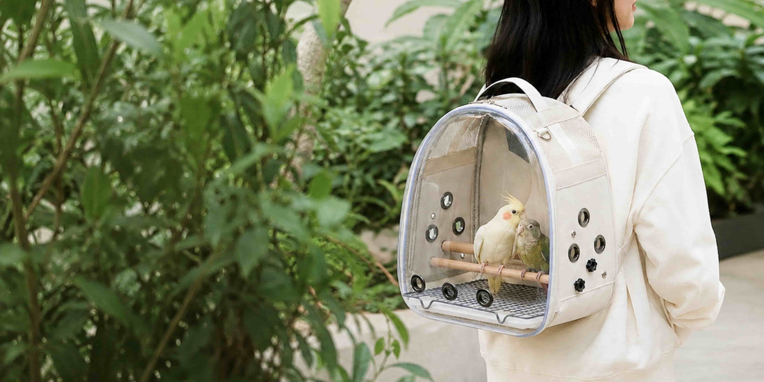 How to Clean a Bird Travel Carrier After Every Trip