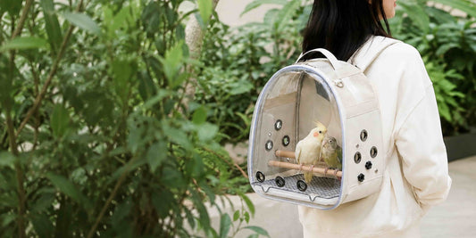 How to Clean a Bird Travel Carrier After Every Trip