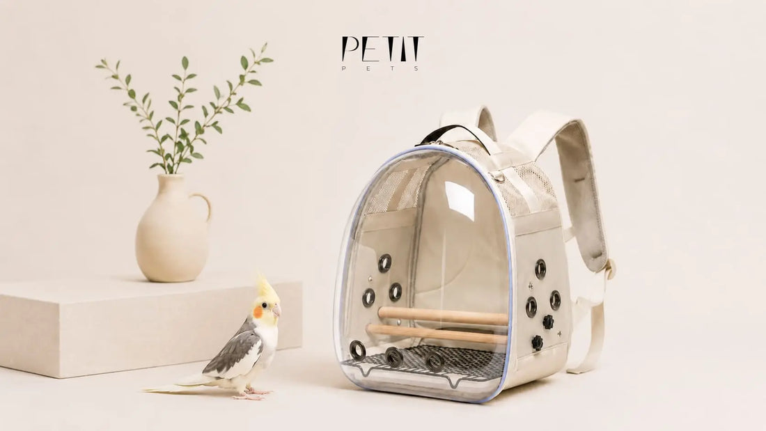 How to Choose a Travel Backpack for Your Parrot