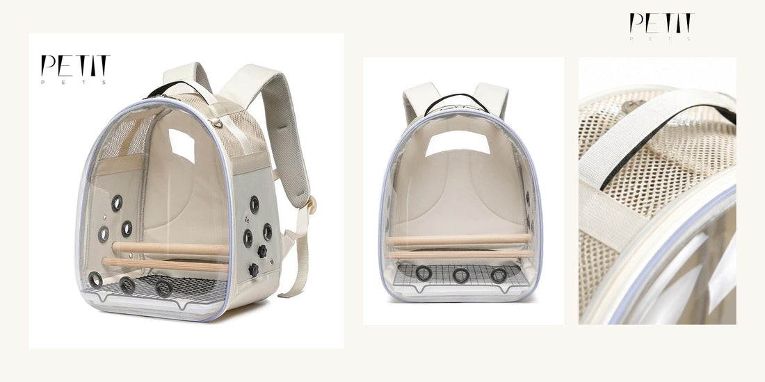 Petit Pets bird backpack carrier guide for cockatiels conures and budgies using real bird carrier product photos.