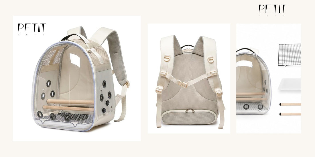 Petit Pets parrot carrier guide using real large bird backpack carrier product photos for short supervised travel.