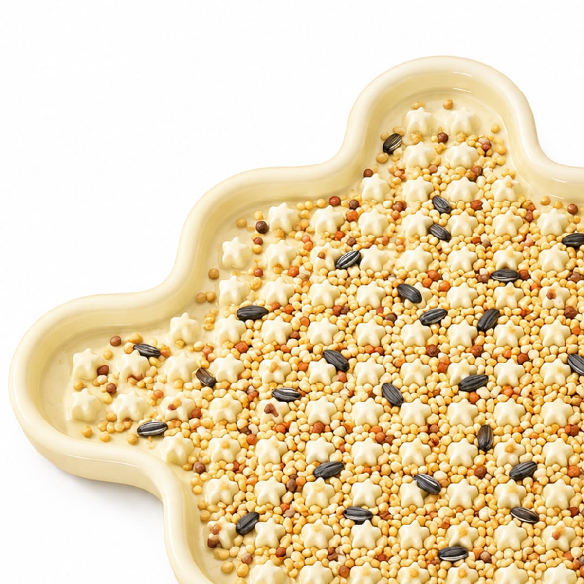 Bird Slow Feeder Bowl | Foraging Feeding Tray for Parrots & Birds